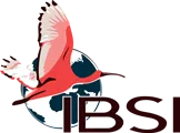 IBSI